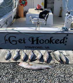 Striper Fishing Fun in Virginia